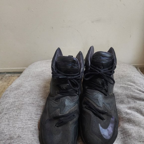 Lebrons - Picture 2 of 5